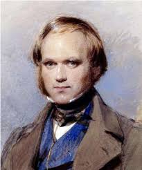 Mr Darwin's Fishes-A Collections Film