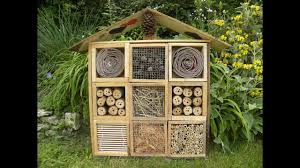Dessiner les ailes, les yeux et les pattes de l'insecte qu'il souhaite fabriquer, il peut aussi coller le modèle de tête à modeler au dos de la feuille de papier et la. Comment Fabriquer Un Hotel A Insectes Pour Son Jardin Vivre Demain