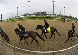 Here's what to throw in your suitcase if you're heading to churchill downs. Impress Your Friends With These Kentucky Derby Facts The Blade