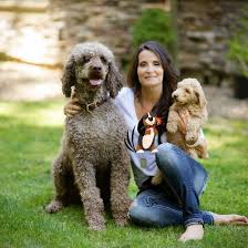 See more ideas about standard poodle, poodle, poodle dog. Oregon Poodle Oodle Doodles Home Facebook