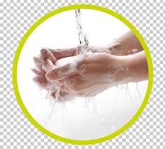 Hand Washing Soap Cleaning PNG, Clipart, Cleaning, Common Cold ...