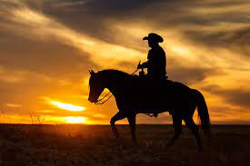 Lone texas cowboy riding off into the sunset baxter lane card 30684 unsent cowboys and horses 10 done. Sunset Horse Ride Novocom Top