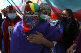 La académica mapuche, quien es especialista en. Quien Es Elisa Loncon La Presidenta De La Convencion Constitucional