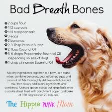 Bad Breath Dog Bones Recipe Diy Essential Oils Dog Breath Food Animals Diy Dog Stuff