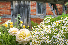Offene Garten Biospharenreservat Elbe Brandenburg