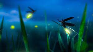 Kunci jawaban tantri basa jawa kelas 2 hal 111. Kunci Jawaban Tema 5 Kelas 2 Hal 108 109 110 111 112 113 Buku Tematik Sd Subtema 2 Pembelajaran 6 Tribun Pontianak