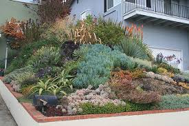 Ducote Barnes Front Garden Slope Front Slope All Grown In Flickr Rock Garden Design Landscaping With Rocks Front Yard Landscaping