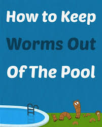 How To Get Rid Of Worms In Your Pool Pool Care Swimming Pool Maintenance Pool Maintenance Schedule