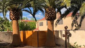 We prefer small jobs for any type tree. Las Vegas Palm Tree Trimming Green America Tree Landscaping