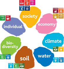 Sustainable Development Goals Www Natureandmore Com Sustainable Development Goals Sustainable Development Un Sustainable Development Goals