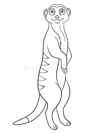 All coloring pages meerkat with meerkats page cute free. Coloring Pages Little Cute Meerkat Smiles Stock Vector Illustration Of Baby African 116731391