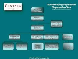 housekeeping department in the organization