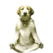 Do You Believe In Dog Hey It S God Spelled Backwards By Michelle Monet Hopes Dreams Medium