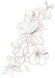 Drawing Bird Of Paradise Flower Outline This Just Gave Me Inspiration For These Flowers And A Couple Humming Birds Memorial Tatto Tropical Flower Tattoos Flower Tattoo Shoulder Orchid Flower Tattoos