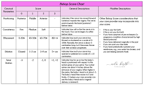 This bishop score calculator assesses the likelihood of succesful vaginal delivery and whether labor can or needs to be induced based on dilatation and other cervix factors. Bishop Scores And What They Tell You About Your Cervix Aila Birth Village Certified Boston Birth Doula Postpartum Doula Childbirth Educator And Birth Photographer