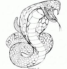 In this quick tutorial you ll learn how to draw a yellow anaconda in just a few quick steps but first the yellow anaconda eunectes notaeus are native to south america. King Cobra Coloring Page Coloring Home