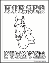 These horses are usually found in shades like golden, palomino, black, bay and chestnut. Horse Coloring Page Riding Showing Galloping