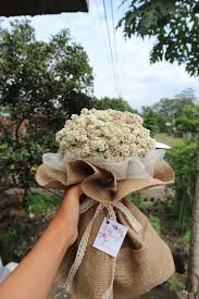 Pada banyak tanaman, bunga adalah bagian yang paling berwarna. Bunga Edelweis Bunga Abadi Tipe Buket Bunga Edelweis Medium Plus Cocok Sebagai Kado Unik Untuk Pasa Dried Flower Bouquet Flower Bouquet Wedding Flower Bouqet