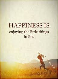 35 Happiness Quotes Positive Good Vibes That Will Inspire You 1 Happy Quotes Positive Good Vibes Quotes Positive Quotes For Life