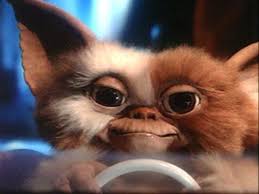 Gizmo Childhood Memories Gremlins Childhood