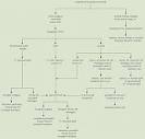 Hoste opp blod (hemoptyse) - PDG