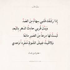 شعر عنترة بن شداد وبت بطيف منك يا عبل قانع عالم الأدب Words Quotes Pretty Words Arabic Quotes