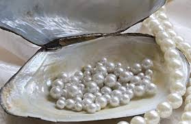 Only clean pearl jewelry with cleaners that are labeled safe for pearls. never steam clean or use ultrasonic cleaners on these gems. Commonly Asked Questions Pearls Kloiber Jewelers