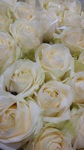 We did not find results for: Liverpool Wholesale Flowers Ltd Home Facebook