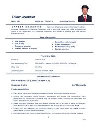 Business Analyst Cv