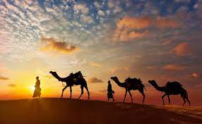 Leave from jaisalmer by jeep which will take you around one hour to reach sand dunes. Half Day Desert Safari In Jaisalmer Book Now Save 61