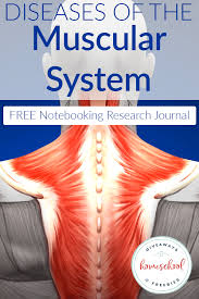 Color the pictures online or print them to color them with your paints or crayons. Free Worksheets For The Muscular System Homeschool Giveaways