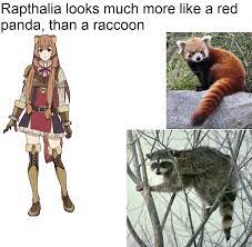 we have been lied to raphtalia is not a raccoon : r/shieldbro