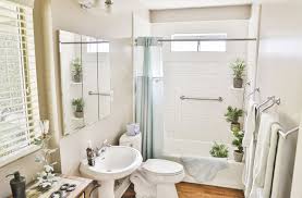 Banyoda Yetistirebileceginiz Nemi Seven 16 Bitki Evim