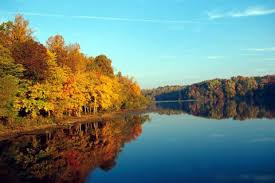 Maybe you would like to learn more about one of these? See The Autumn Leaves From A Kayak At Lake Accotink Park Authority