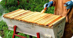 We also offer roof top frame rests, a hive tool that works and our own custom design top bar hive feeders. How To Choose The Most Appropriate Beehive Type In Uganda