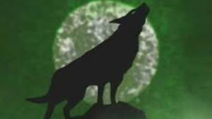 Hier gelangen sie zu den aktuellen news. Vfl Wolfsburg Intro Youtube