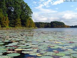 Maybe you would like to learn more about one of these? North Toledo Bend Campground North Toledo Bend La 3 Photos
