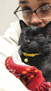 Cat Onyx Needs Urgent Veterinary Care