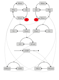 Flow Chart Of The Original Model Whole Lines Are