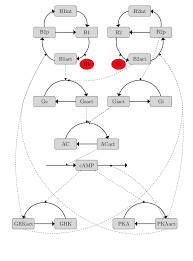 flow chart of the original model whole lines are