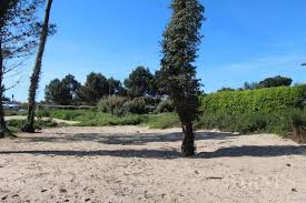 Vente Terrain Viabilise 1291 M Sup2 Anglet Cote Littoral Vente Terrain Immobilier Anglet