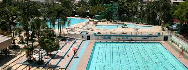 Santa cruz de natal, palmeiras. Se Palmeiras Palmeiras