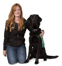 Check spelling or type a new query. Breed Focus Labrador Cross Golden Retriever Dogs For Good