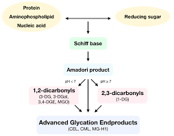 Antioxidants Free Full Text Redox Signaling And Advanced Glycation Endproducts Ages In Diet Related Diseases Html