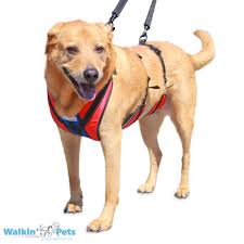 Walkin Lift N Step Harness Full Body Dog Harness Handicapped Pets Pet Transport Dog Harness Support Dog