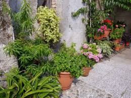 Auch heute noch gilt der künstlich erschaffene bauerngarten nach. Die Schonsten Kubelpflanzen Fur Terrasse Und Balkon