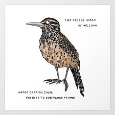 Its name means curved beak. Cactus Wren Arizona State Bird Art Print By Kit Collins Society6