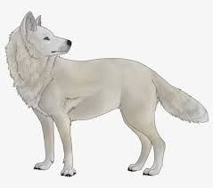 Волчий дождь | wolf's rain. White Wolf Thing White Wolf No Background 900x682 Png Download Pngkit
