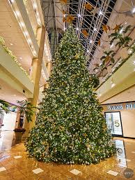 Maybe you would like to learn more about one of these? Merry Christmas Atmtx Photo Blog
