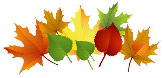 Fall Leaves Png Clipart Png 600 289 Fall Clip Art Fall Leaves Coloring Pages Fall Leaves Png